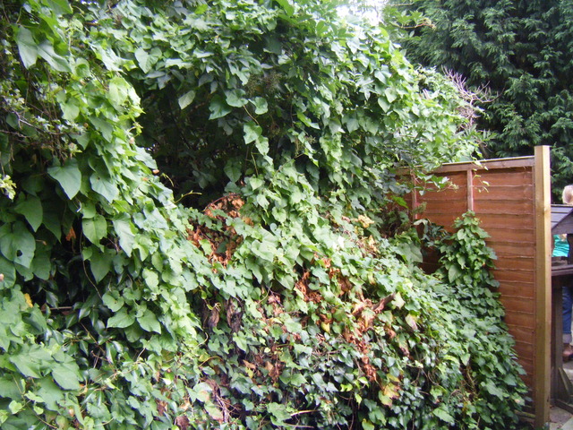 dscf2126.jpg